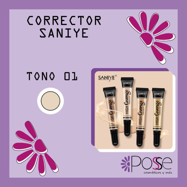 CORRECTOR SANIYE #01